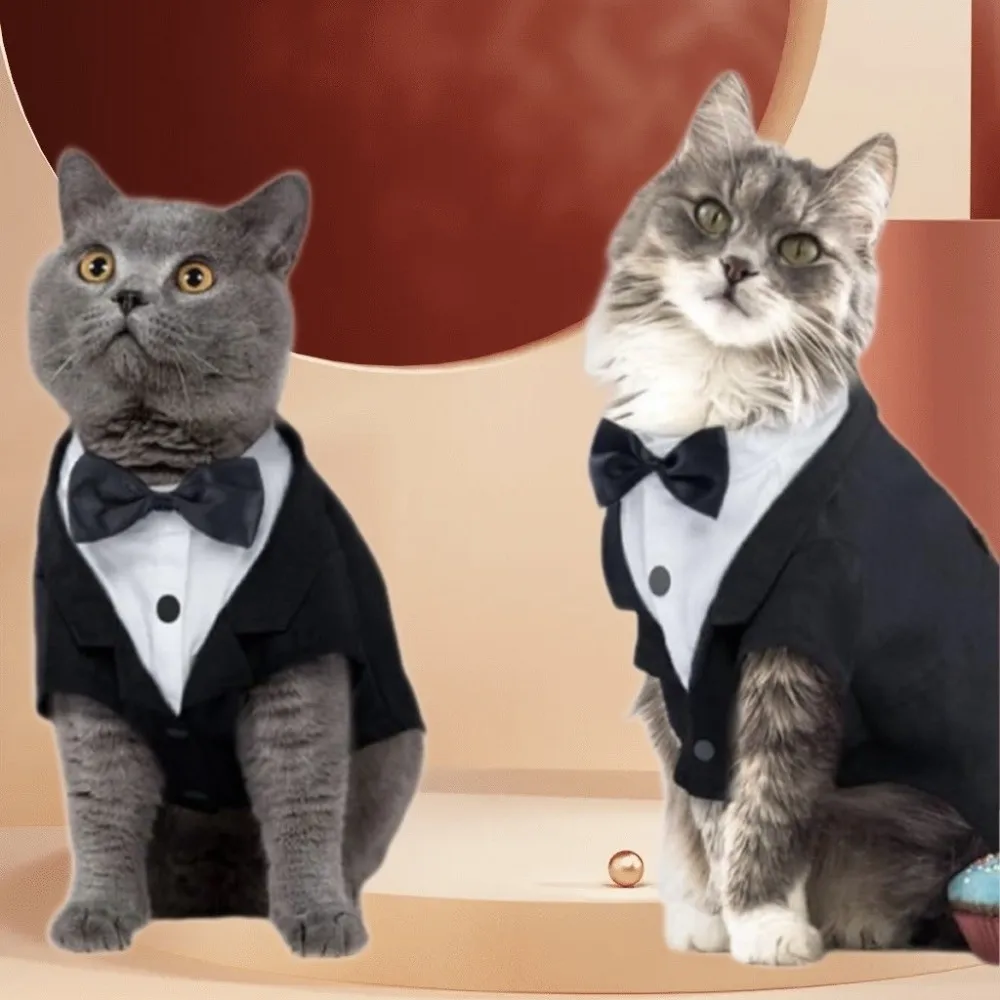 Colete para Gatos com Gravata para Festa ou Casamento - Image 4