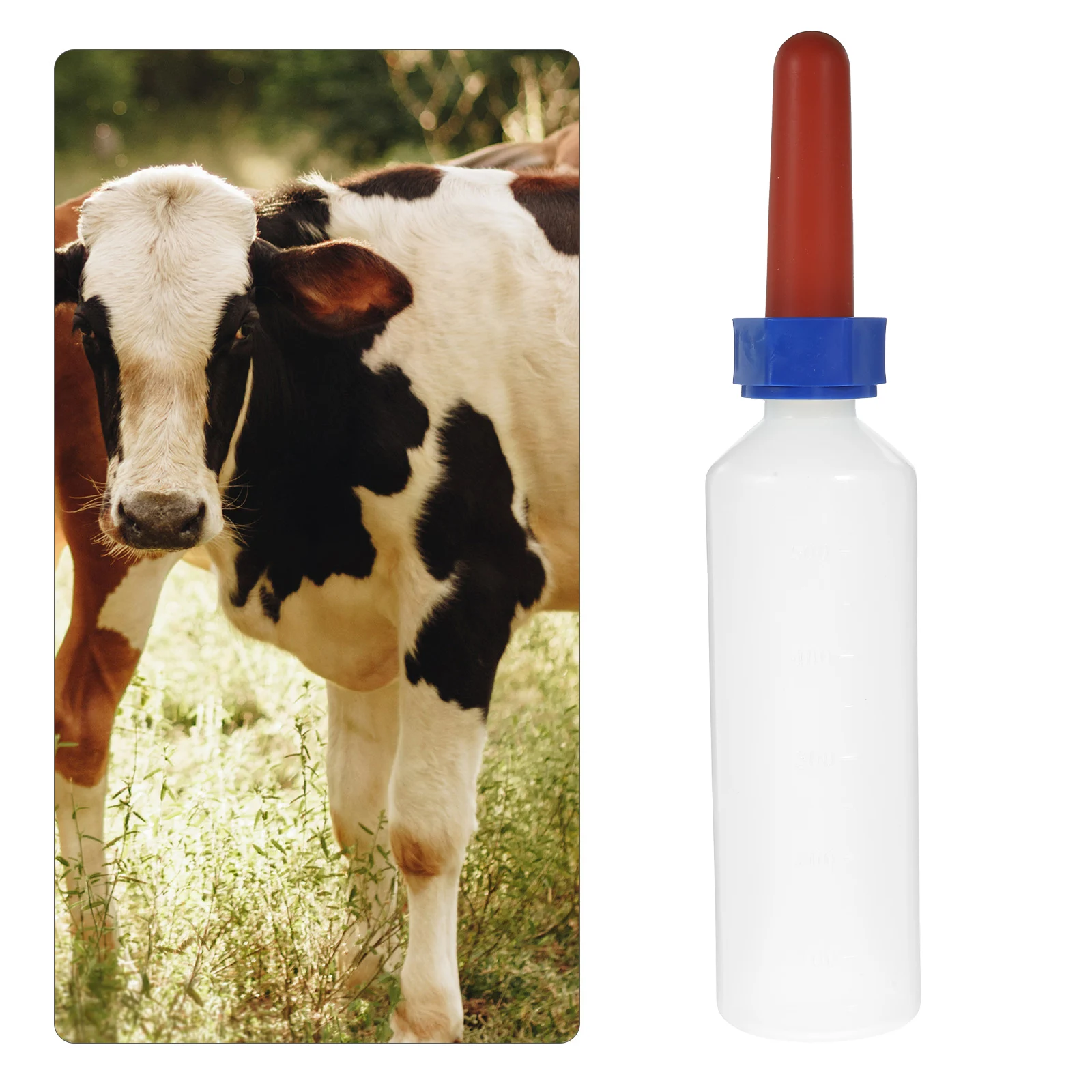 Garrafa de Silicone para Cordeiro 500ml com Chupeta - Imagem 2