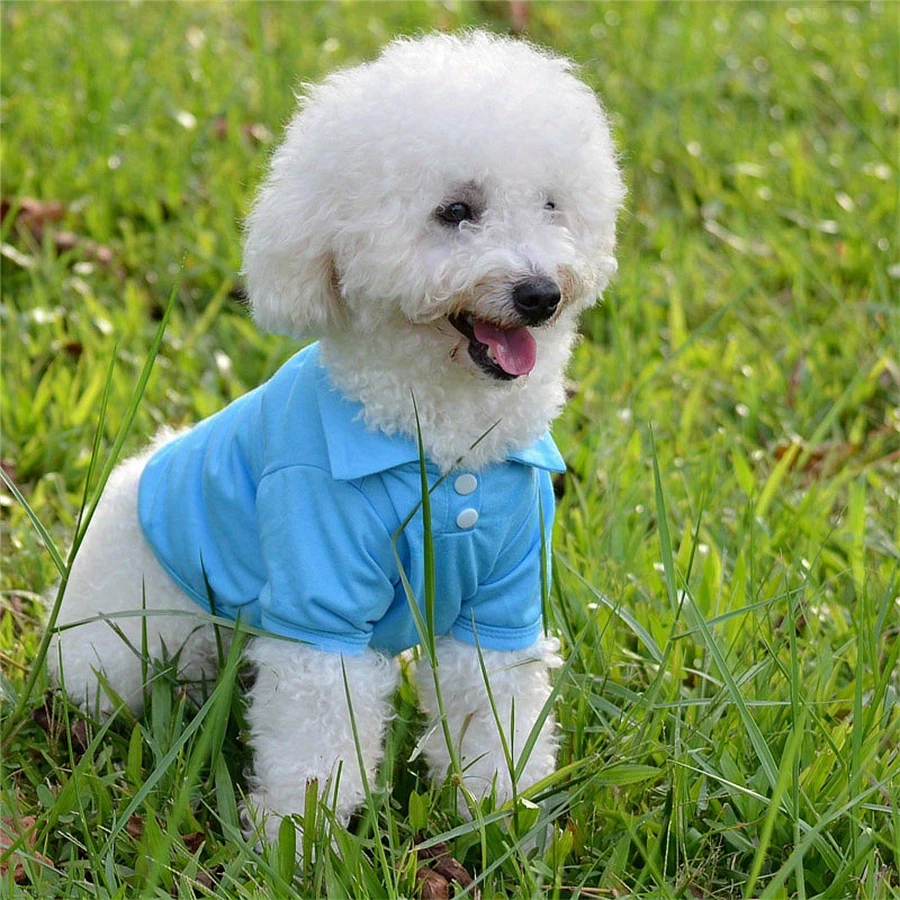 Colete Polo para Cães Pequenos de Algodão para Primavera e Verão - Imagem 6