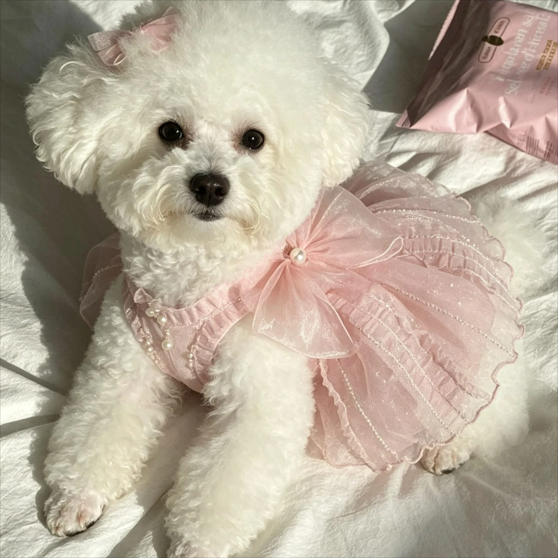 Vestido de Princesa para Cães e Gatos Pequenos de Poliéster - Image 4