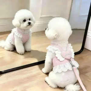 colete coleira para cães e gatos com renda