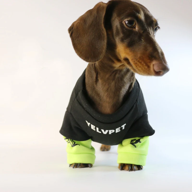 Roupa para Cães de Lã para Outono e Inverno - Imagem 3