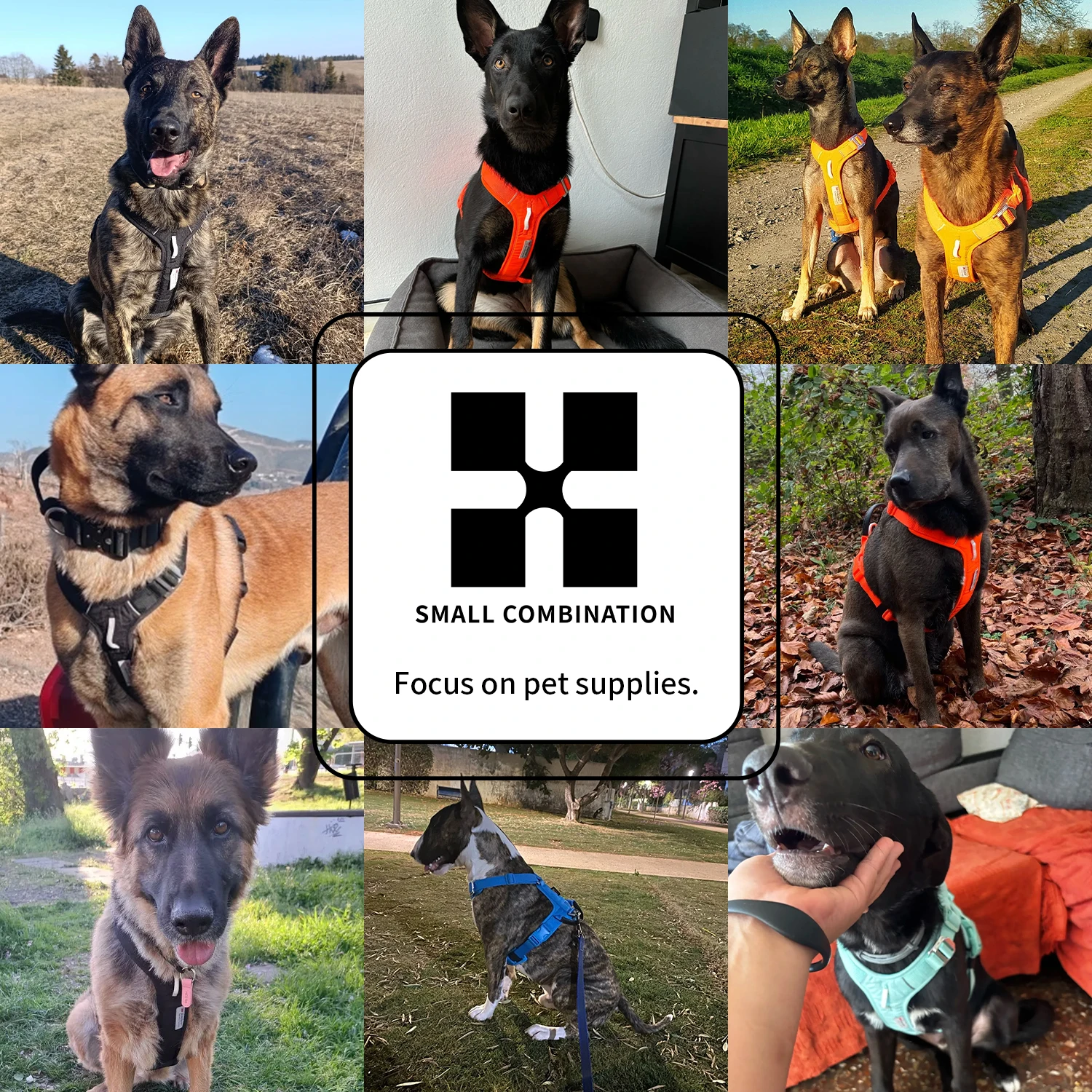 Coleira Peitoral para Cães Pequenos Nylon Refletivo Ajustável - Imagem 6
