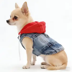 jaqueta jeans para cães pequenos