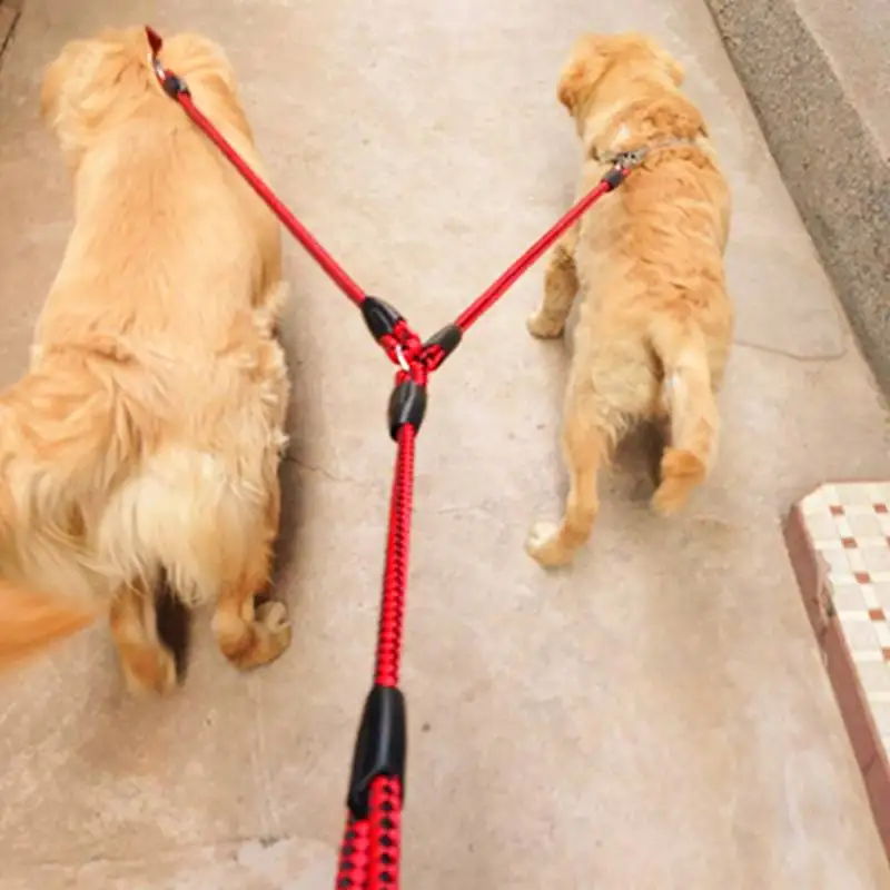 Guia Dupla para Cães de PP 140 cm com Alça de Espuma EVA - Imagem 6