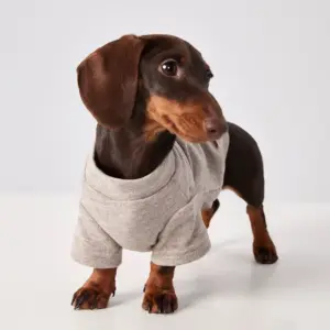 camiseta macia para cães pequenos inverno