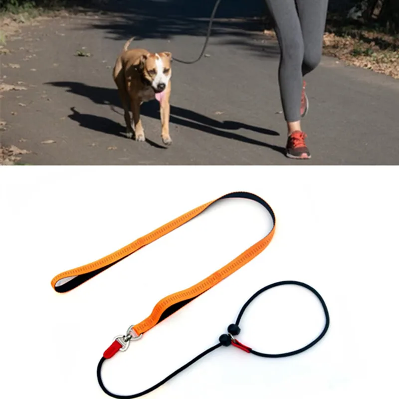 Trela de Corda Assoking para Cães 150cm com Corrente P - Imagem 2