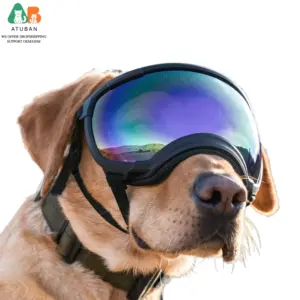 óculos de sol para cães com proteção UV