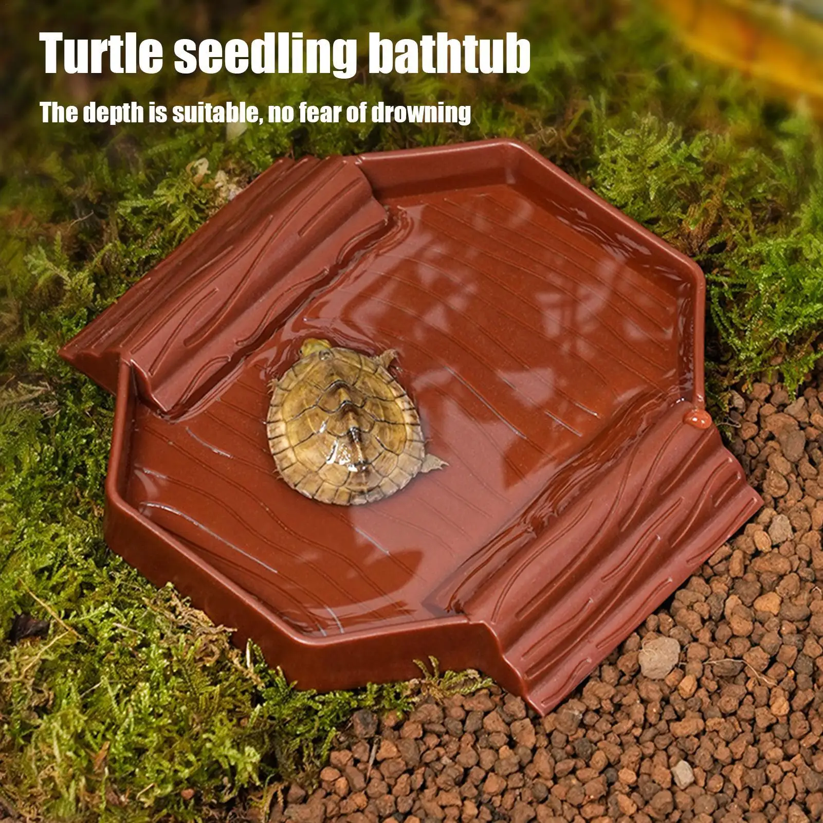 Prato de Água para Répteis com Rampa Antiderrapante para Terrário - Imagem 3
