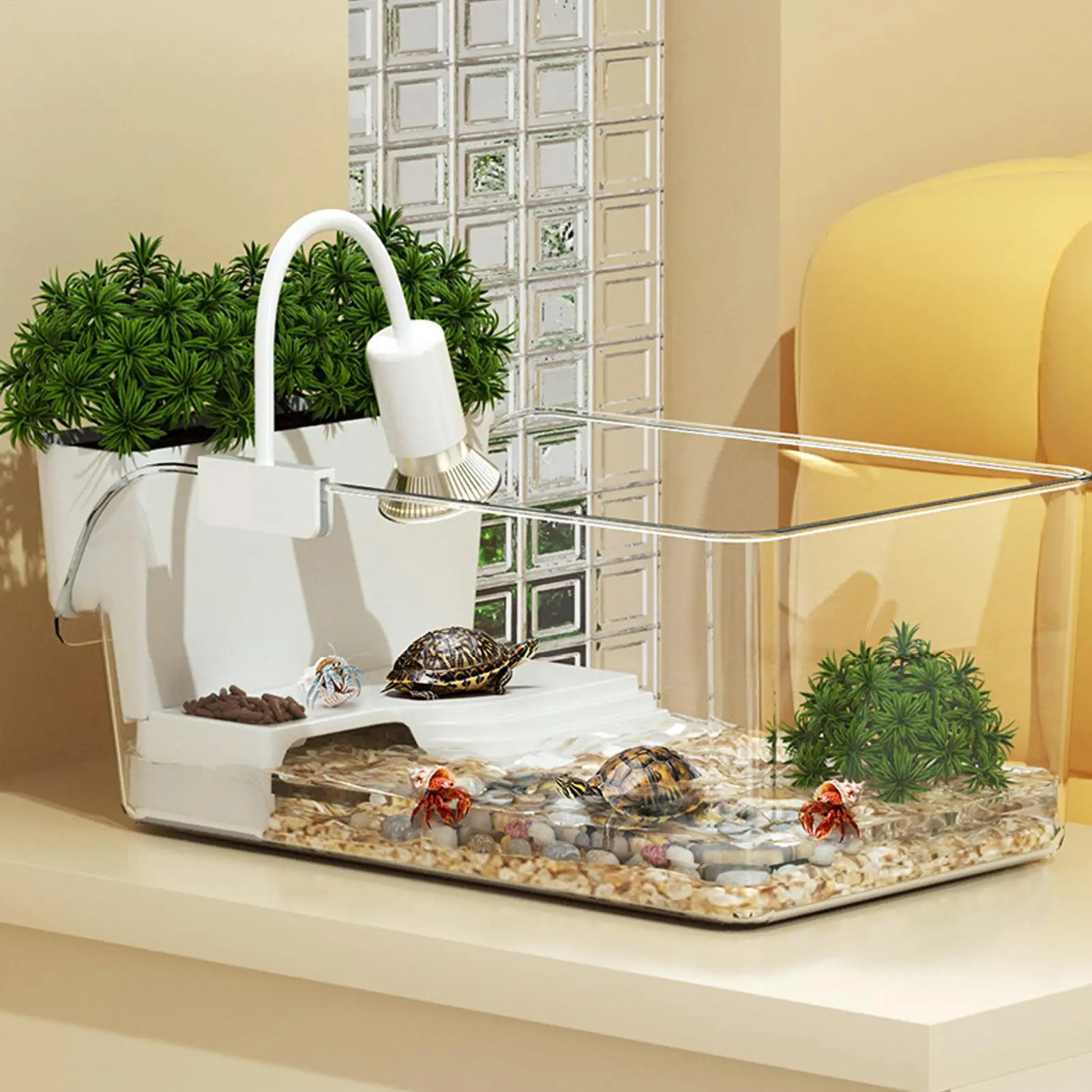 terrário transparente para tartarugas
