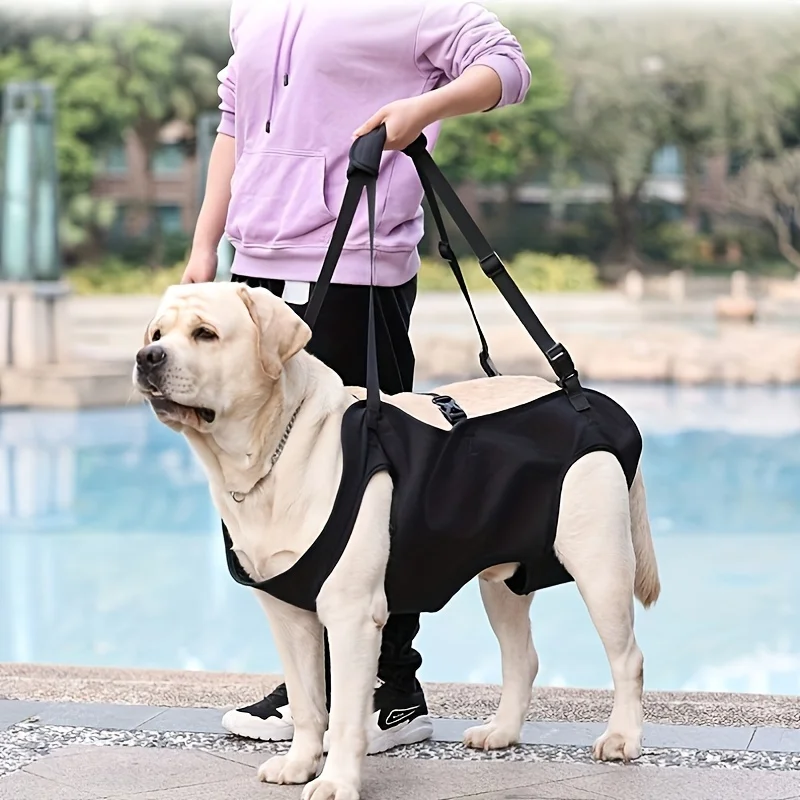 Arnês de Elevação para Cães com Suporte Ajustável - Imagem 3