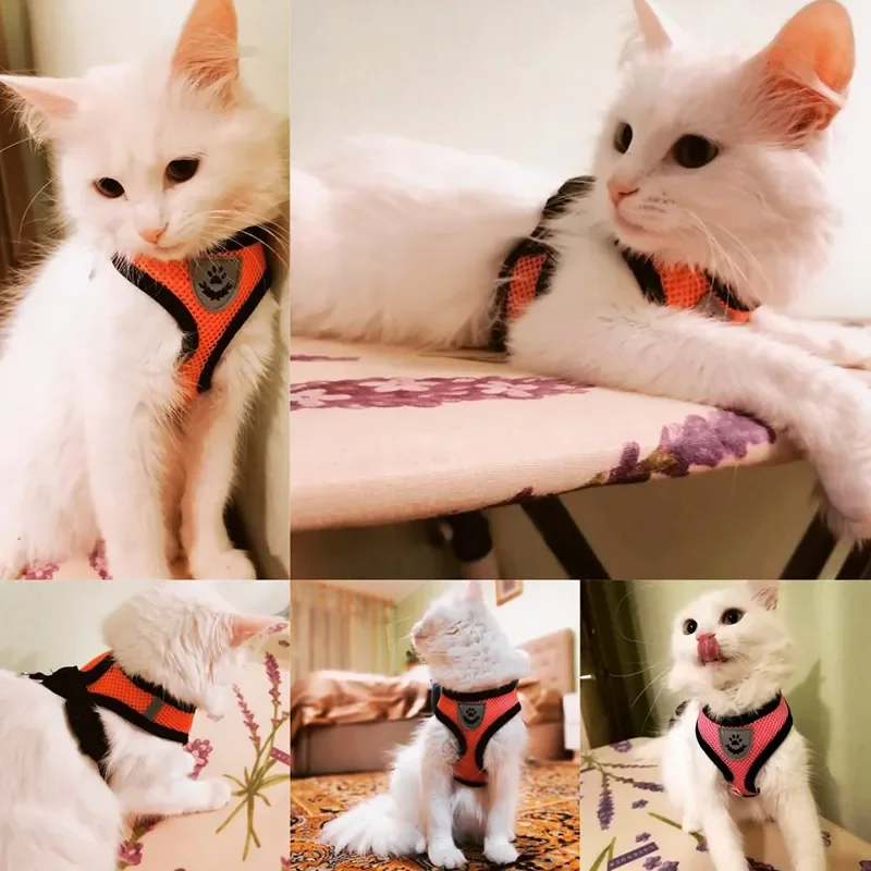 Coleira Peitoral para Gatos de Poliéster Ajustável com Faixa Refletiva - Imagem 2