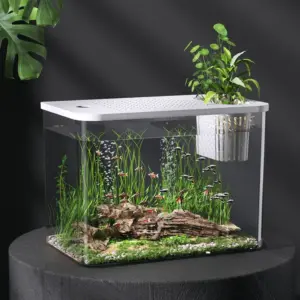 aquário para tartarugas com tampa