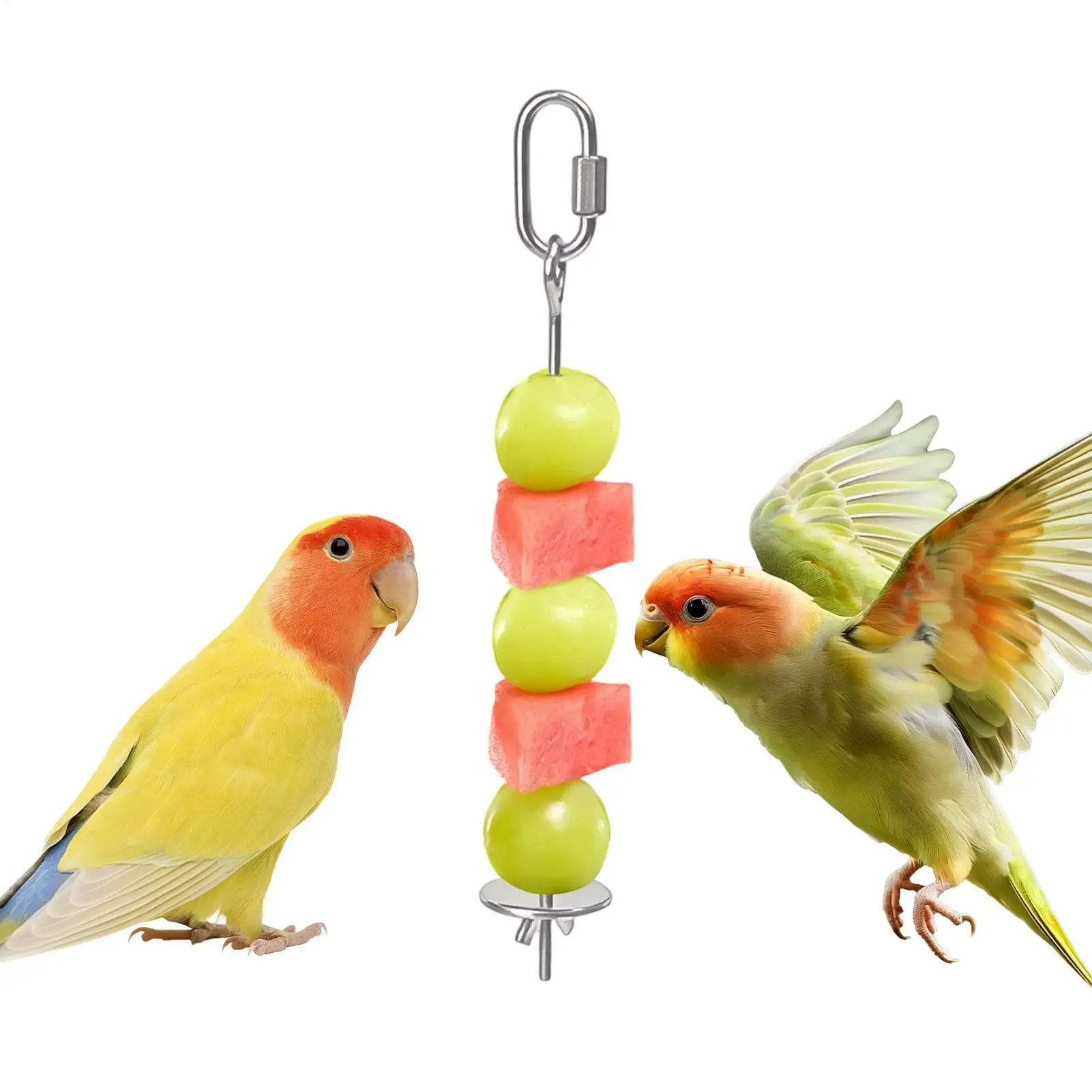 Espeto de Frutas para Pássaros de Aço Inoxidável para Gaiola - Imagem 2