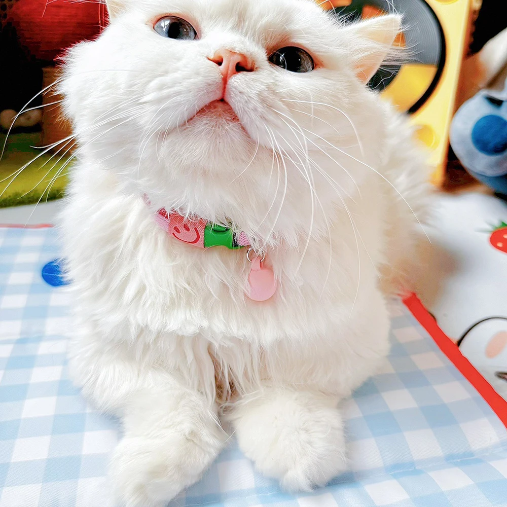 Coleira Elástica para Gatos e Cães Pequenos de 21-32 cm - Imagem 3