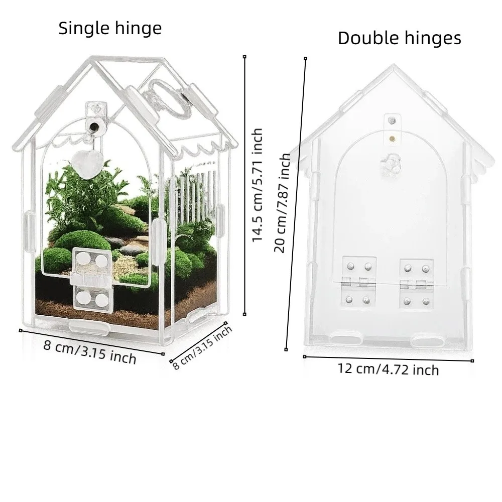 Terrário para Aranha Saltadora com Abertura Frontal Removível - Imagem 6