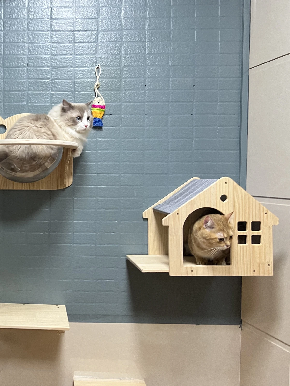 Casa de Parede para Gatos com Prateleira e Cama - Image 5