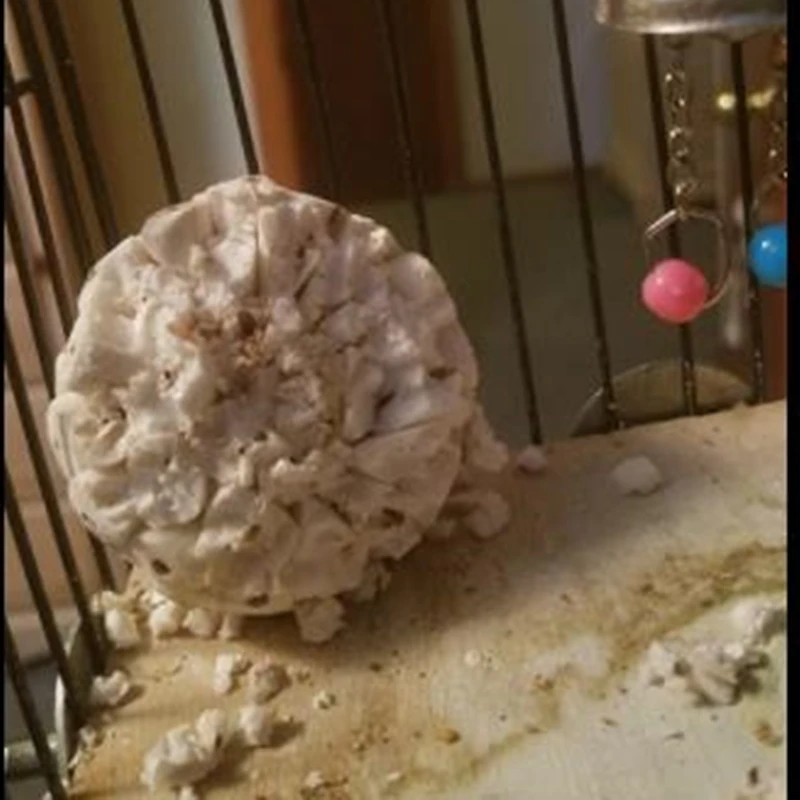 Brinquedo de Forrageamento para Pássaros Bola de Sola Natural Pacote com 3 - Imagem 3