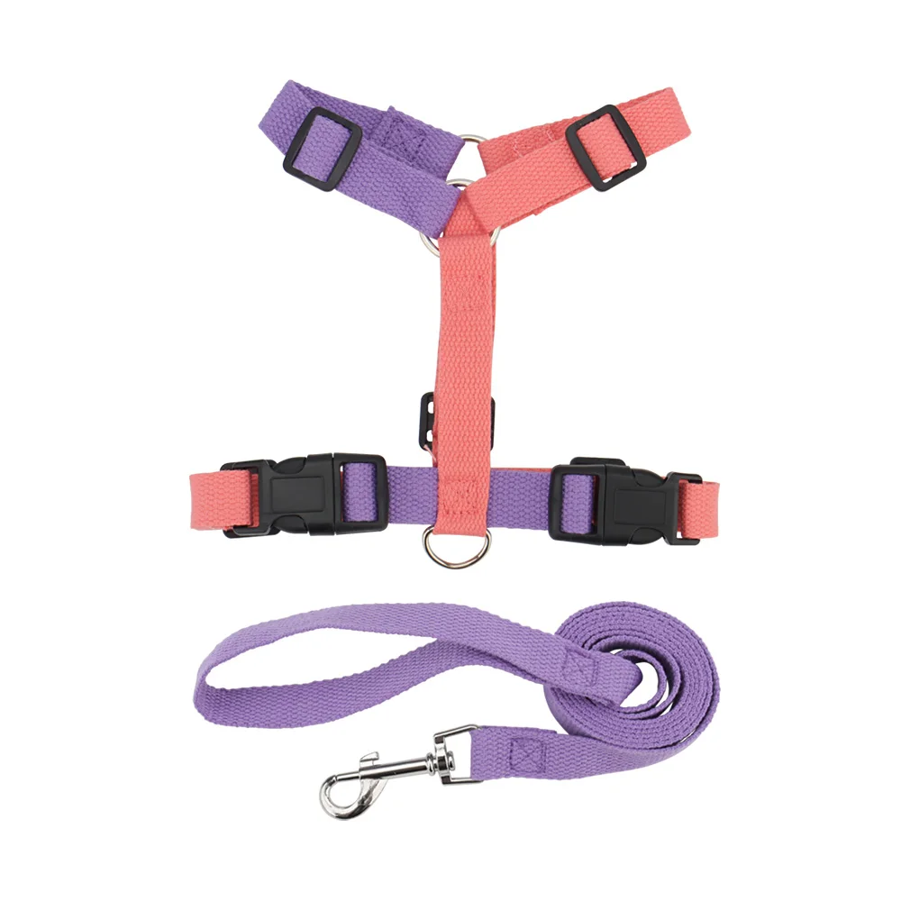 Conjunto de Arnês para Cães Ajustável com Trava de Segurança - Imagem 6