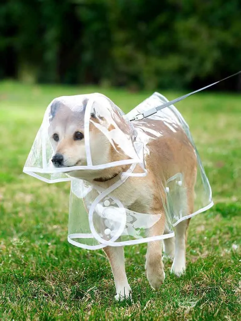 Capa de Chuva para Cães Transparente com Capuz Impermeável - Imagem 2