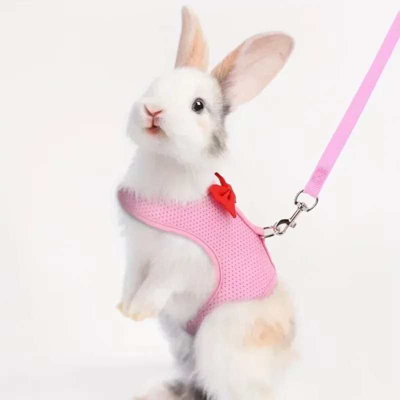 Colete e Guia para Coelhos e Furões Ajustável de Fibra de Poliéster - Imagem 3