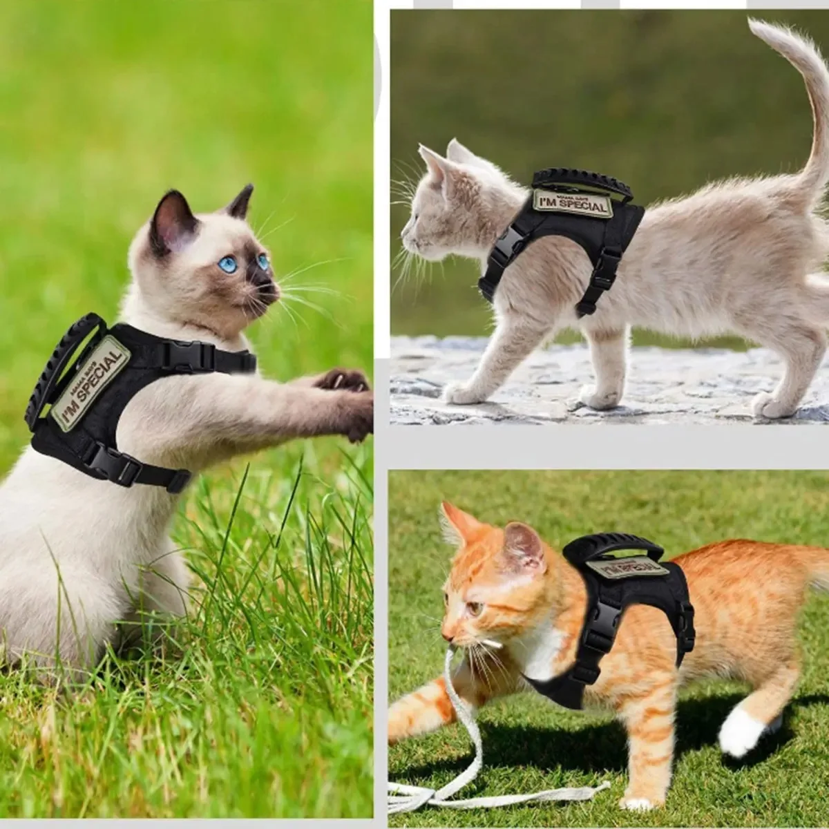 Coleira Tática para Gatos Grandes Ajustável com Alça de Controle - Imagem 6