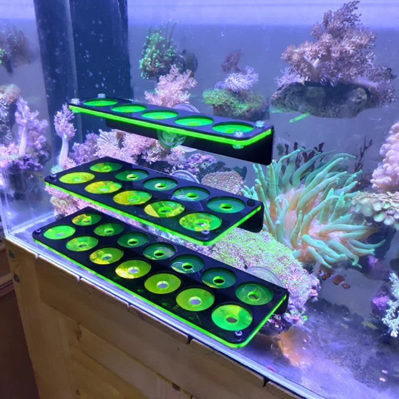 Suporte de Frag Coral para Aquário de Acrílico com Ventosa - Image 2