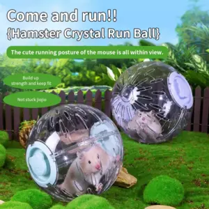 bola de exercício para hamster