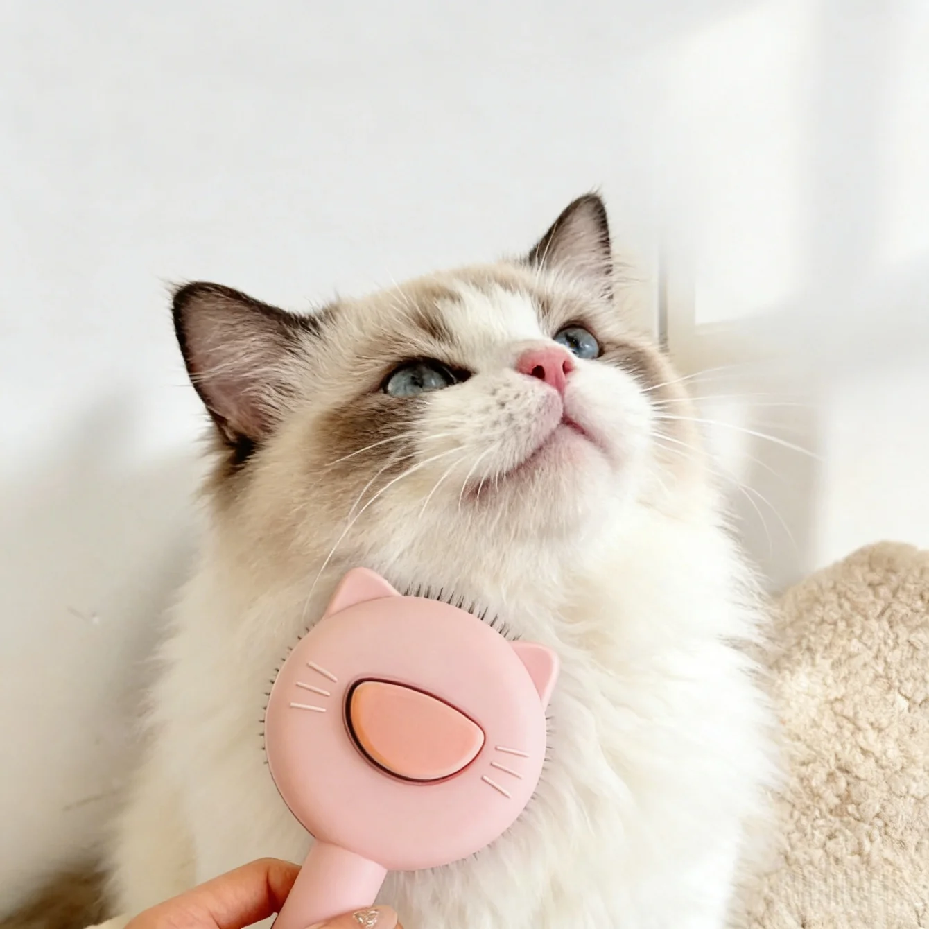 Escova para Gatos e Cães de Pelagem Curta ou Longa com Botão de Liberação - Imagem 5