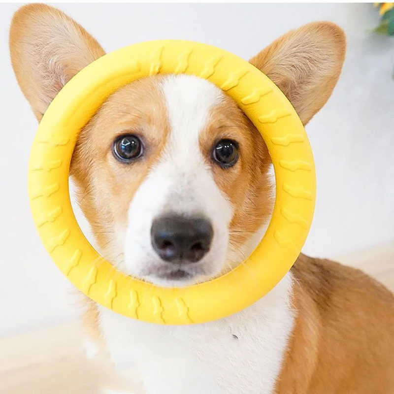 Disco Voador para Cães Flutuante Anti-Mordida para Treinamento - Imagem 4