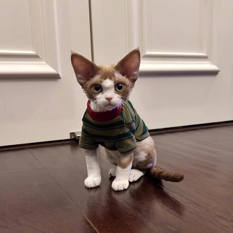 Colete para Cães e Gatos de Algodão Respirável com Listras Verdes - Imagem 4
