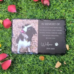 lápide memorial para pets personalizada com foto