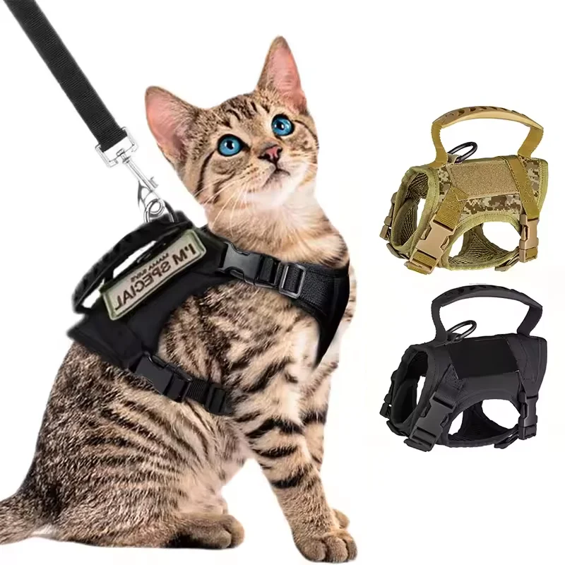 coleira tática para gatos ajustável