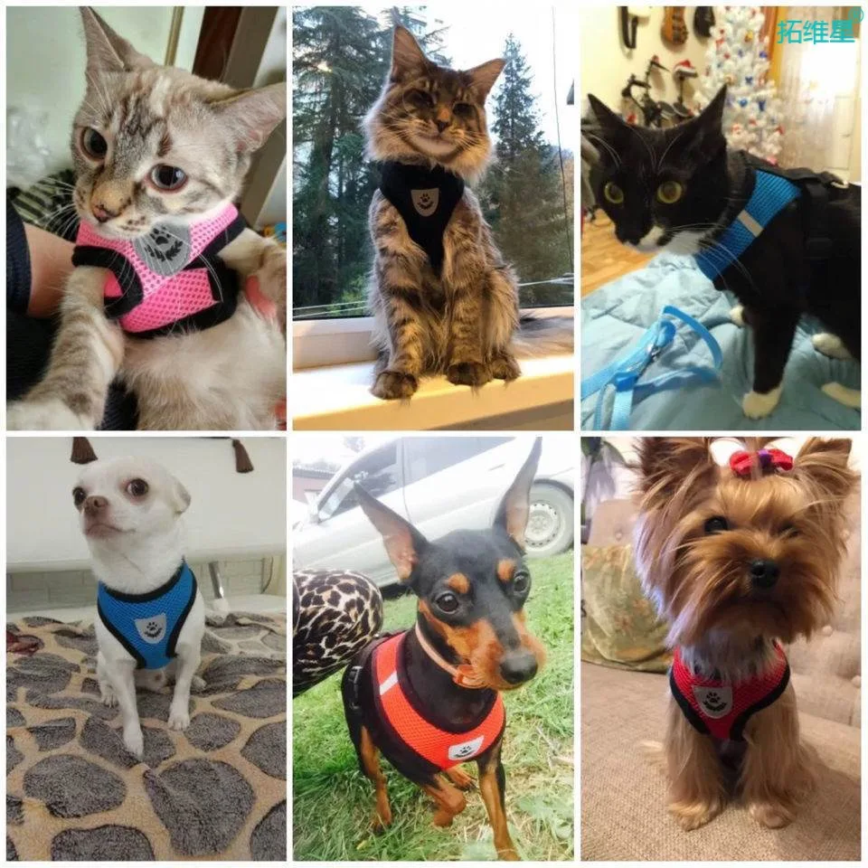 Coleira Peitoral para Cães e Gatos de Malha Ajustável com Faixas Refletivas - Imagem 5