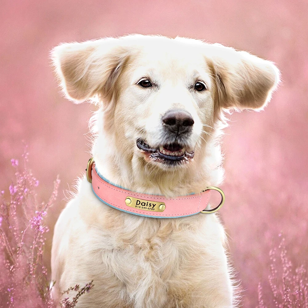 Coleira Personalizada para Cães de Couro PU com Gravação de Nome - Image 5