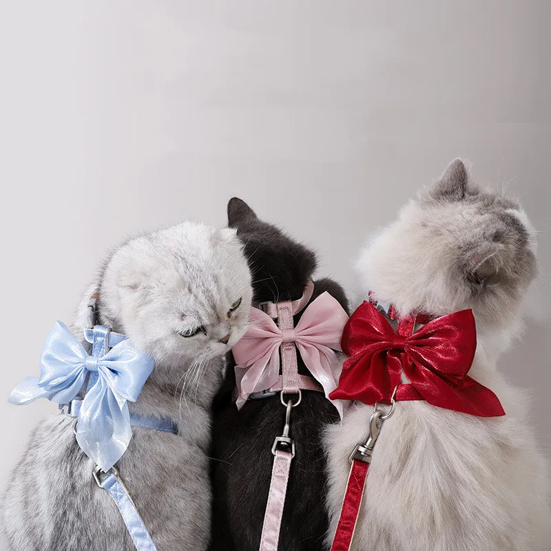 Conjunto Coleira e Guia para Gato com Laço e Colete Leve - Imagem 2