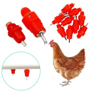 bebedouro bico para aves