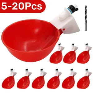bebedouro automático para aves