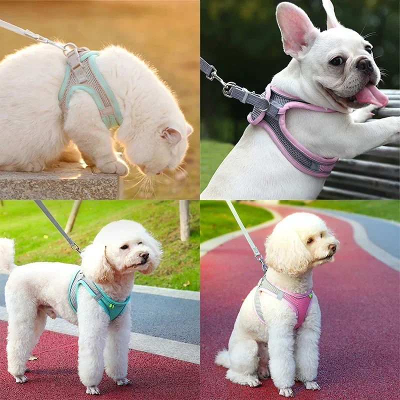 Coleira Peitoral com Guia para Gatos e Cães Pequenos Rosa Refletiva - Imagem 5