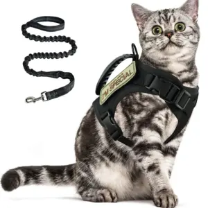 coleira tática para gatos grandes