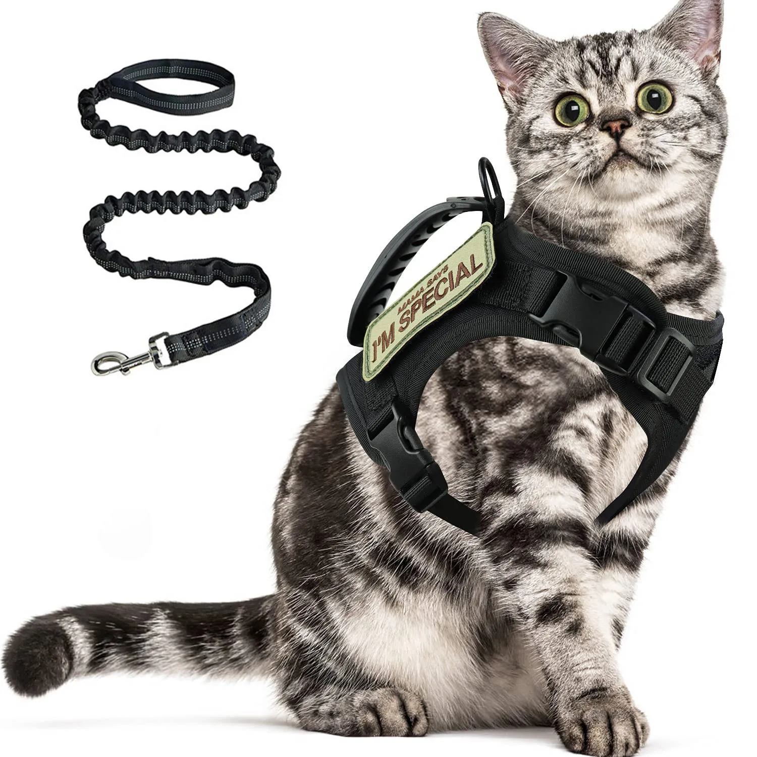 coleira tática para gatos grandes