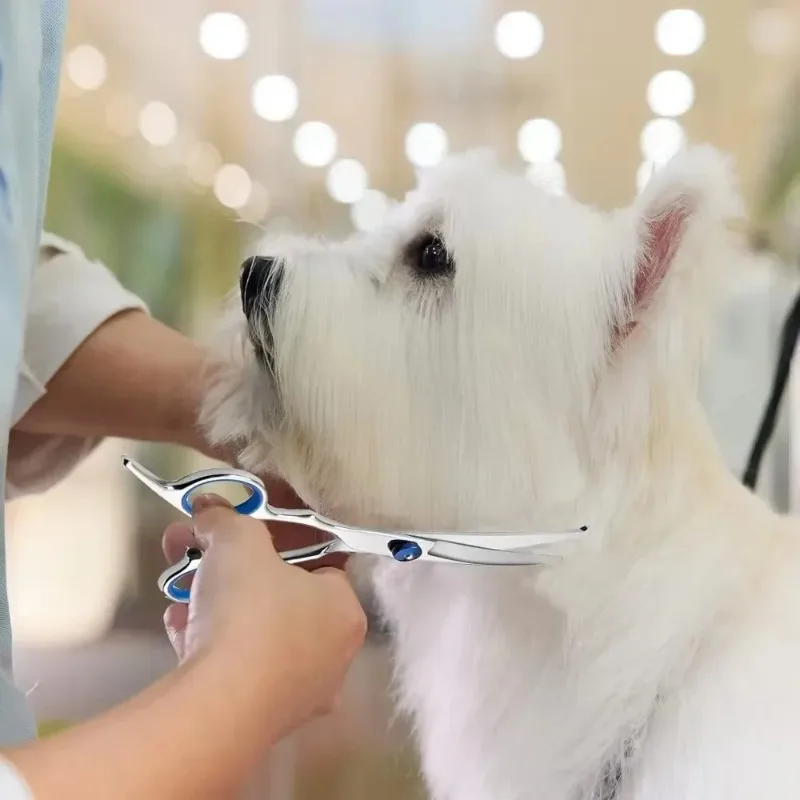 Tesoura para Tosa de Cães em Aço Inoxidável com Ponta Arredondada - Imagem 5
