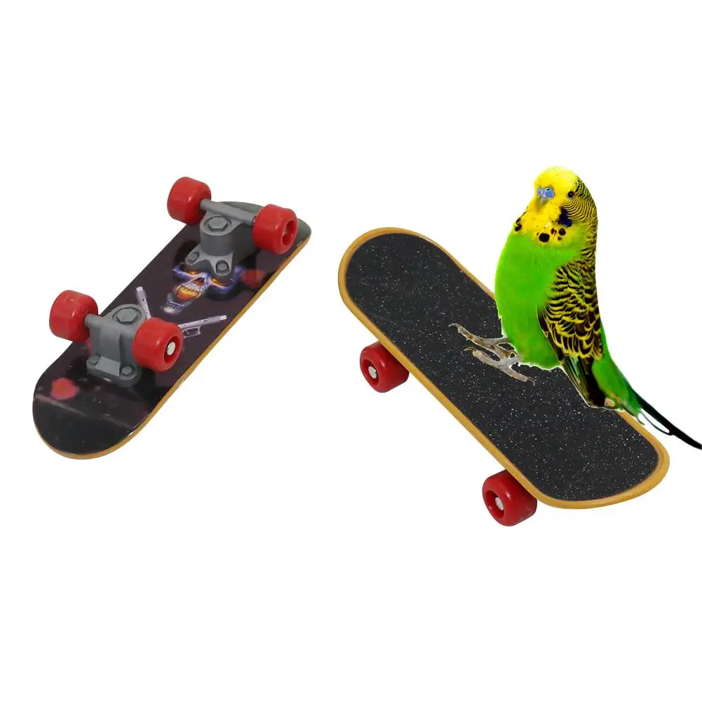 skate para pássaros mini