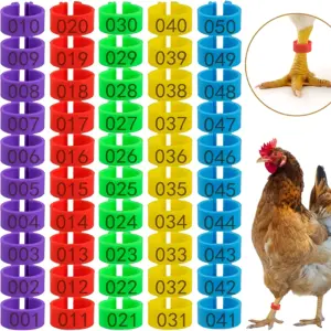 anéis de identificação para aves