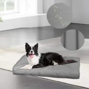 capa lavável para cama de cachorro