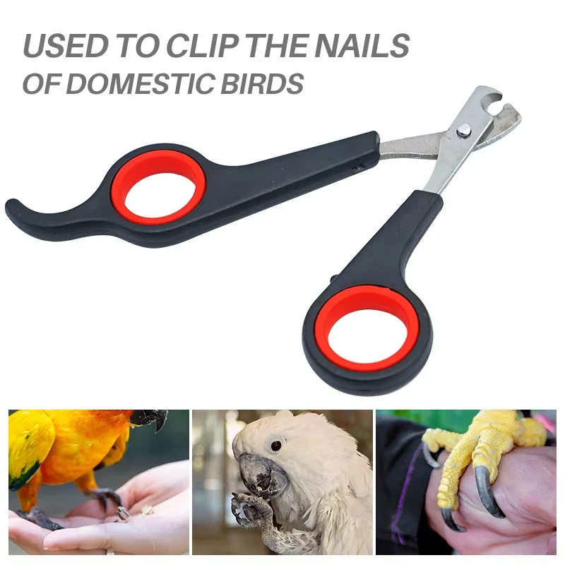 Cortador de Unhas para Pets de Aço Inoxidável 12 cm - Imagem 3