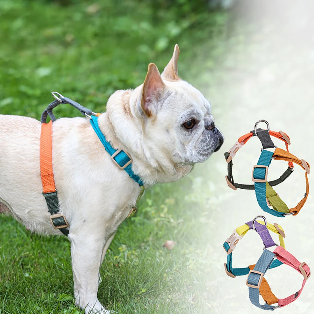 Arnês para Cães Ajustável em H com Fivela Conveniente - Imagem 4
