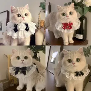 coleira de seda para gatos e cães