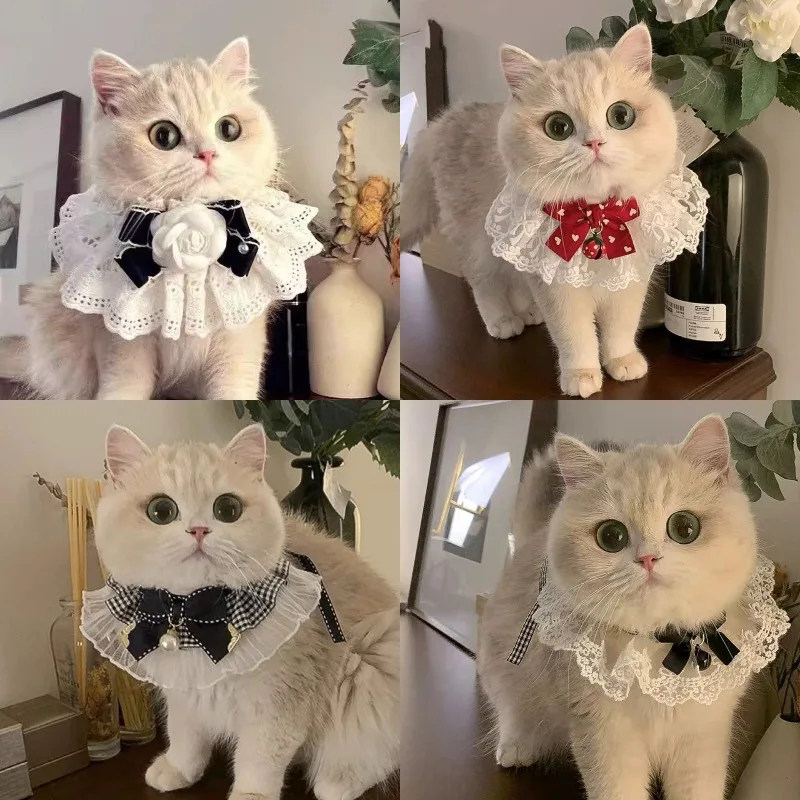 coleira de seda para gatos e cães