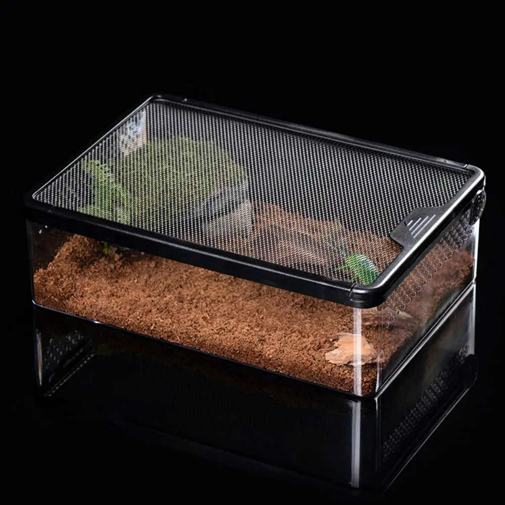 Terrário para Répteis Acrílico Transparente Anti Fuga - Image 3